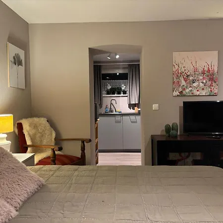 Gemütliche Ferienwohnung, See- Und Stadtnah Schwerin (Mecklenburg-Vorpommern)